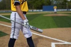 Marucci CAT 7 Silver (-5) USSSA Baseball Bat: MSBC725S 7 Marucci CAT 7 Silver (-5) USSSA Baseball Bat: MSBC725S -Baseball Sale Store CAT7Silver 6