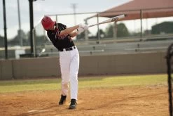 Marucci CAT 7 Silver (-8) USSSA Baseball Bat: MSBC728S -Baseball Sale Store CAT7Silver 8